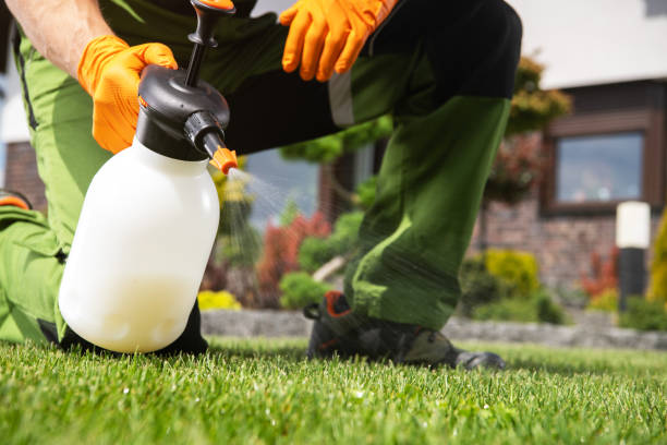 Best Termite Control Services  in Nicoma Park, OK