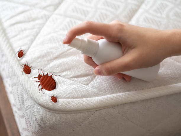 Best Commercial Pest Control Services  in Nicoma Park, OK