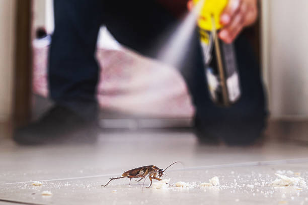 Best Cockroach Control Services  in Nicoma Park, OK