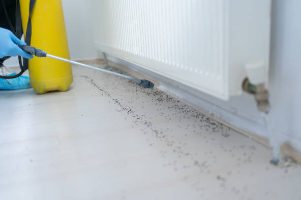 Best Pest Inspection Near Me  in Nicoma Park, OK